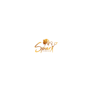 sparx_Salon
